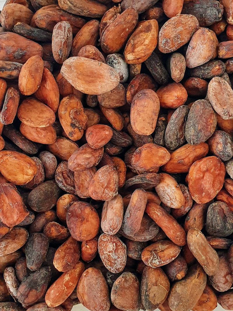 Single Origin Fine Madagascar Cocoa –  Grand Cru de Sambirano - 1kg