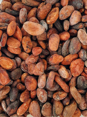 Cacao Fin de Madagascar d'Origine Unique - Grand Cru de Sambirano - 1kg
